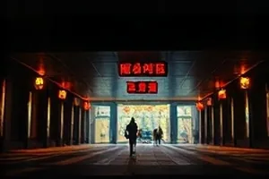 果园里的午后封面，树影斑驳的果园与竹篮